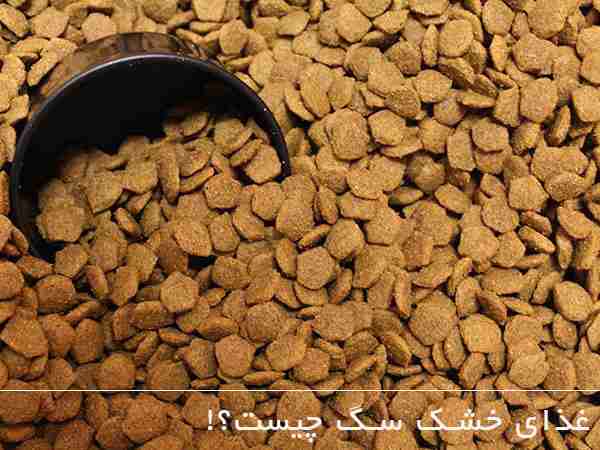 غذای خشک سگ چیست؟