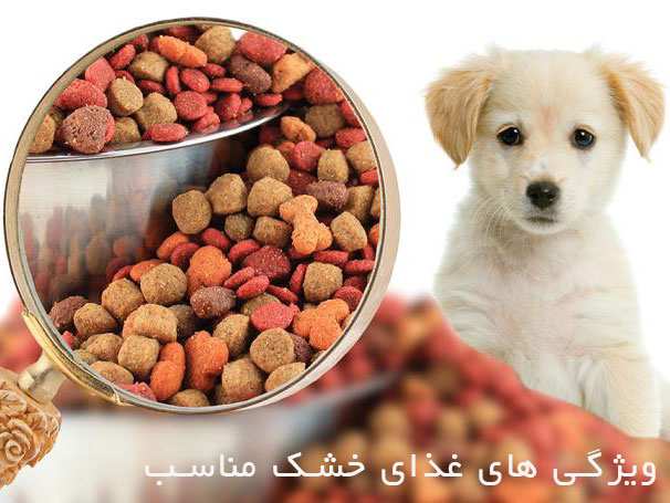 ویژگی های غذای خشک مناسب سگ