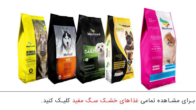 غذای خشک سگ مفید
