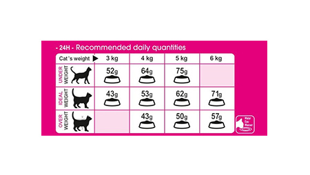 میزان مصرف غذای خشک گربه مدل protein Exigent رویال کنین 