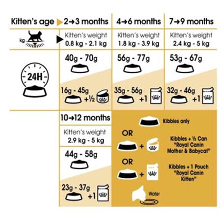 میزان مصرف غذای خشک مخصوص بچه گربه مو کوتاه بریتانیایی رویال کنین