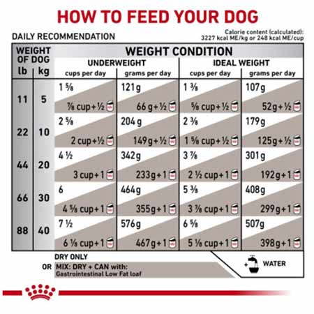 میزان مصرف غذای خشک مخصوص سگ مدل Gastrointestina