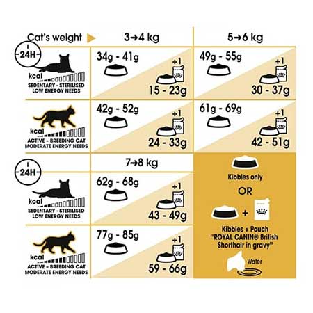 میزان مصرف غذای خشک مخصوص گربه بالغ موکوتاه بریتانیایی رویال کنین